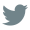 Social Icon